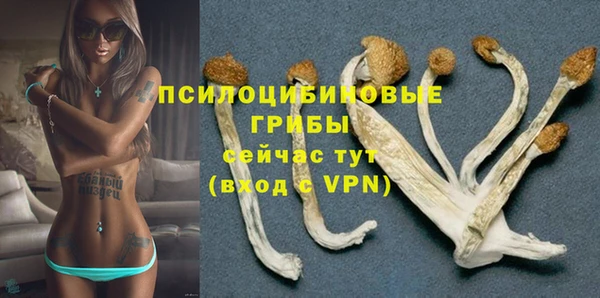 мяу мяу мука Алексин