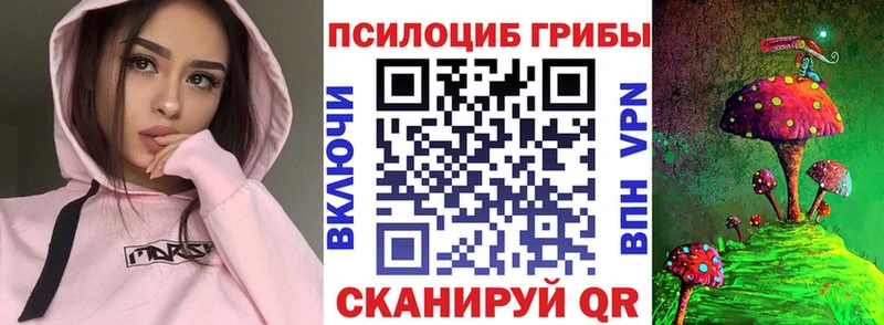 как найти наркотики  Алушта  Псилоцибиновые грибы прущие грибы 